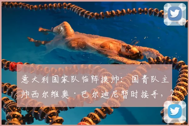 意大利国家队临阵换帅：国青队主帅西尔维奥·巴尔迪尼暂时接手，2026周期面临哪些挑战？
