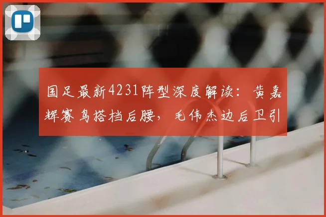 国足最新4231阵型深度解读：黄嘉辉赛鸟搭档后腰，毛伟杰边后卫引热议，附2026年关键配置解析